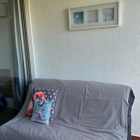Daire Cosy With Garden And Shared Pool Le Grau-du-Roi